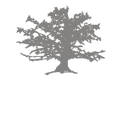 Roberto Jeans A/S